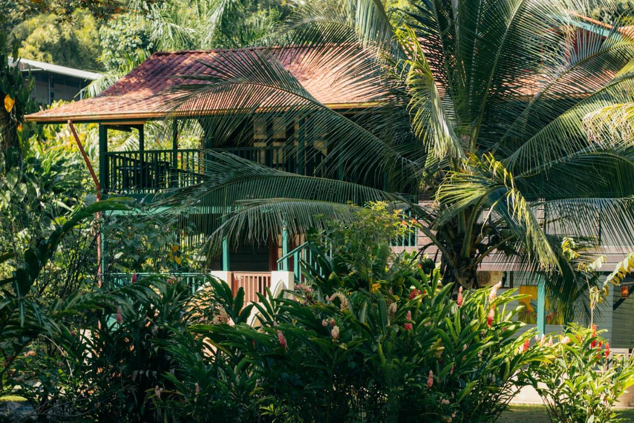 Bed and Breakfast Casa De Mono Bocas Big Creek Экстерьер фото