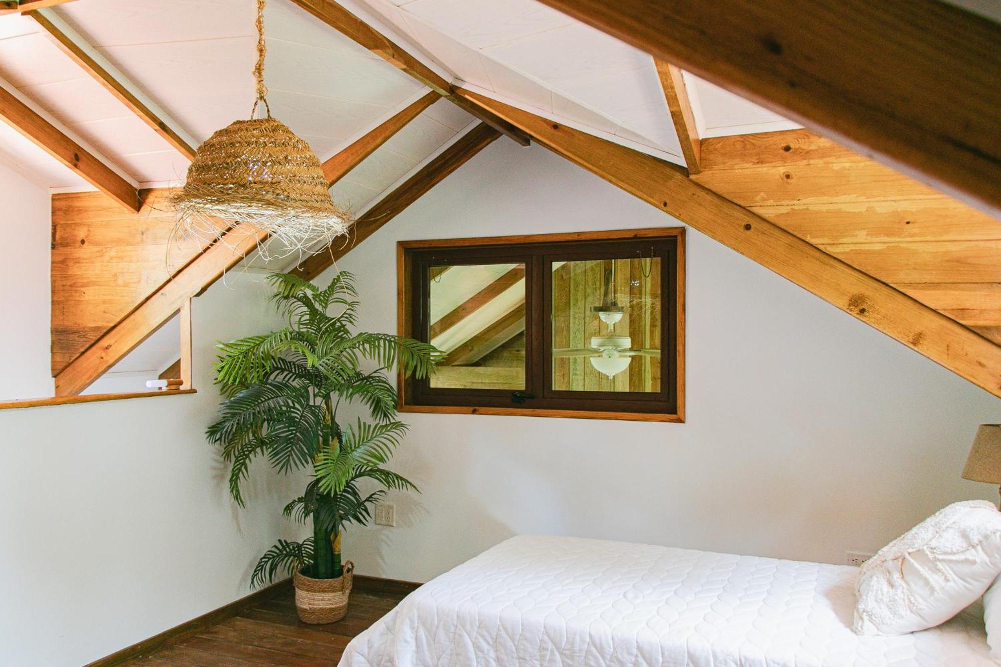 Bed and Breakfast Casa De Mono Bocas Big Creek Номер фото