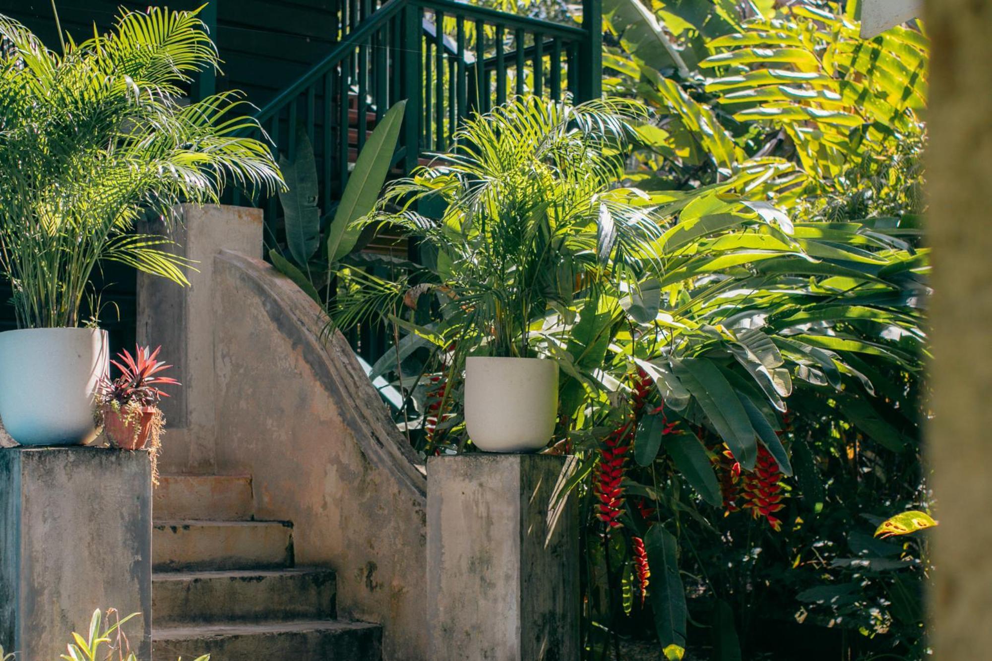 Bed and Breakfast Casa De Mono Bocas Big Creek Экстерьер фото