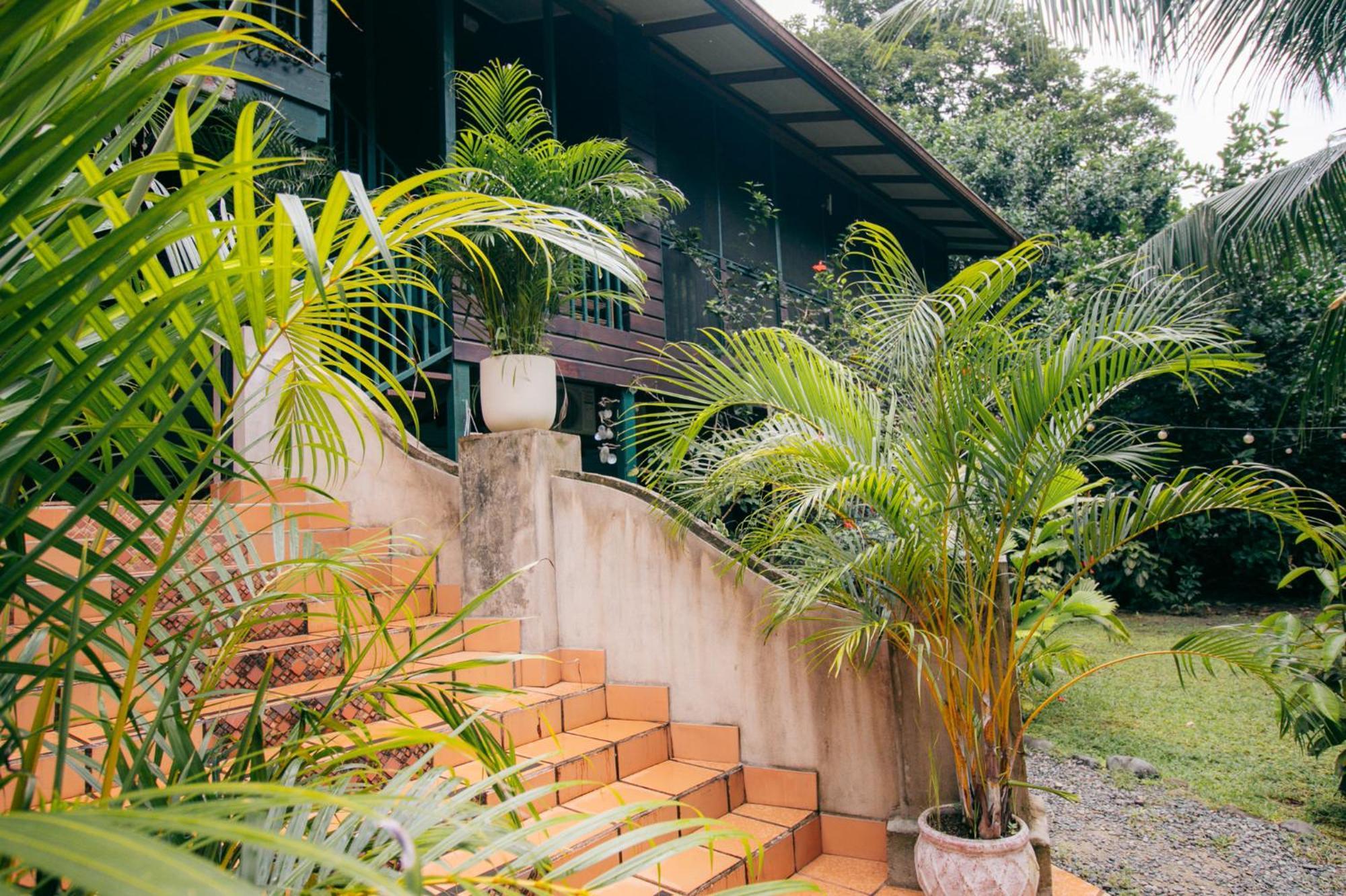 Bed and Breakfast Casa De Mono Bocas Big Creek Экстерьер фото