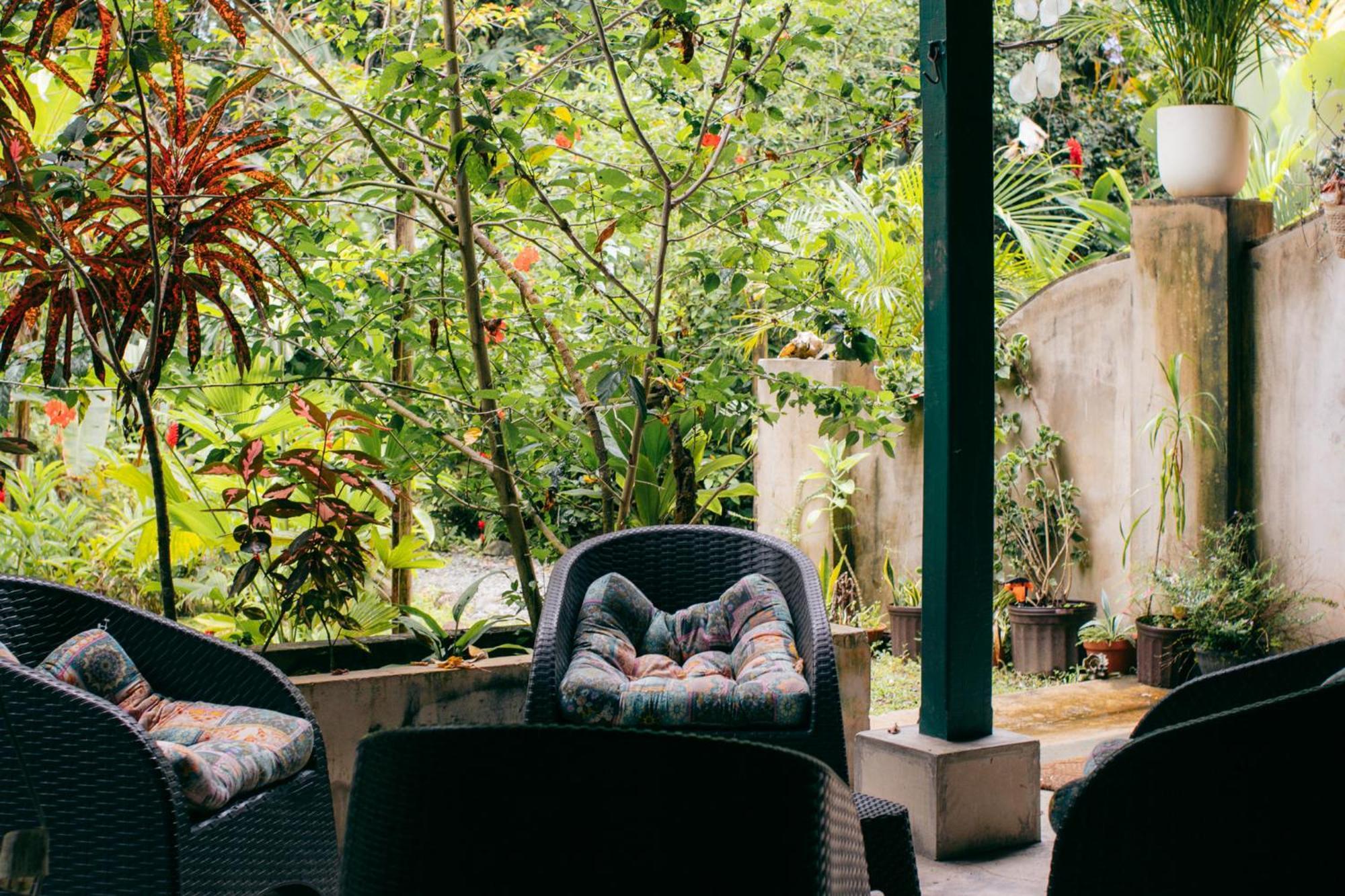 Bed and Breakfast Casa De Mono Bocas Big Creek Экстерьер фото