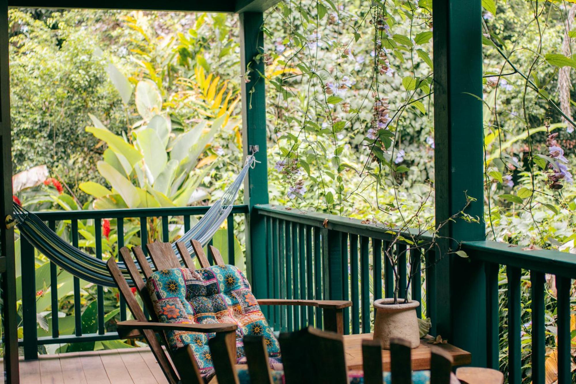 Bed and Breakfast Casa De Mono Bocas Big Creek Экстерьер фото