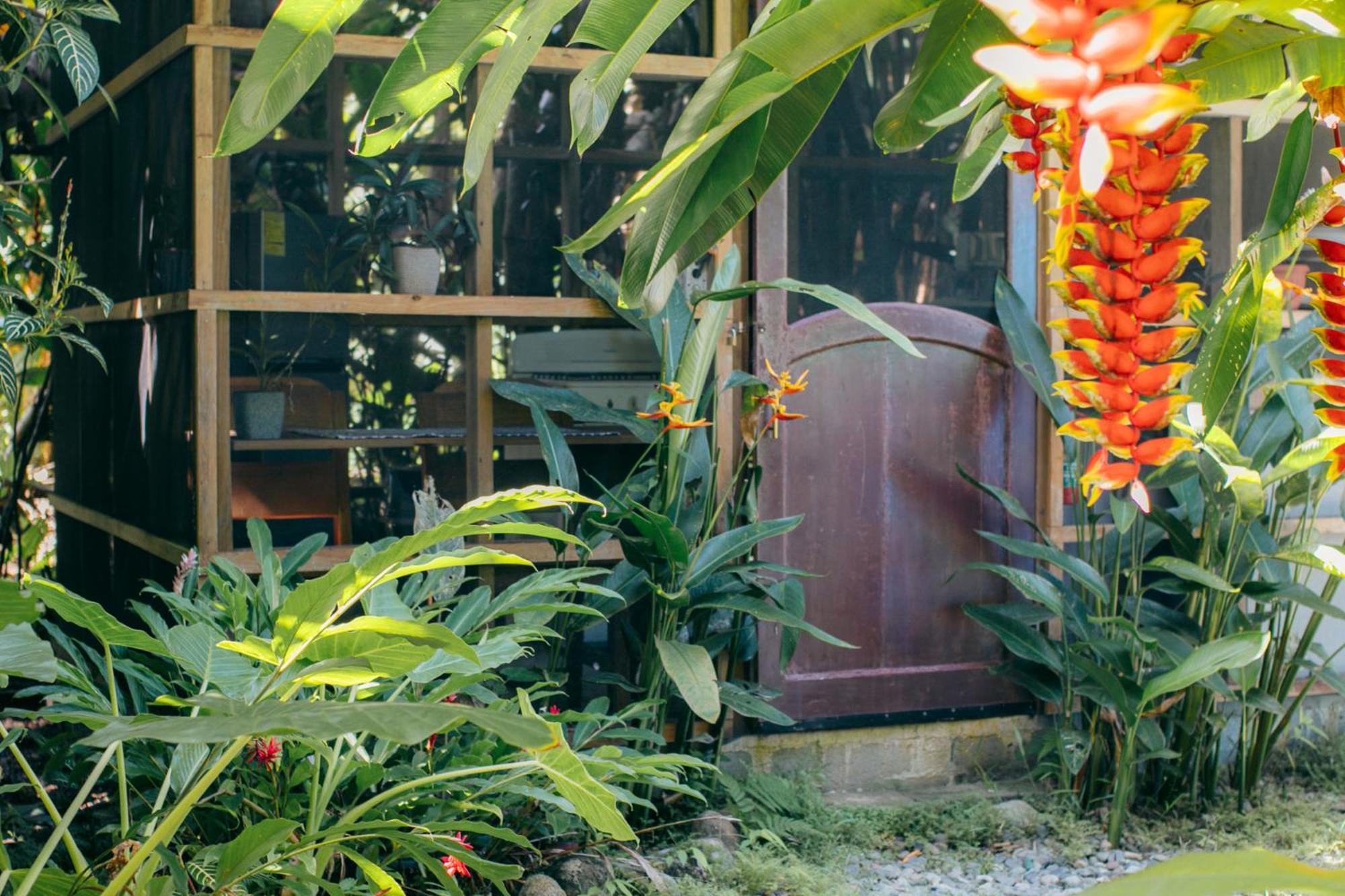 Bed and Breakfast Casa De Mono Bocas Big Creek Экстерьер фото